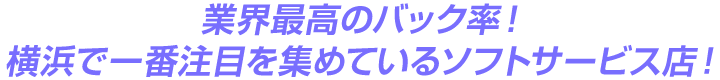 業界最高のバック率！横浜で一番注目を集めているソフトサービス店！